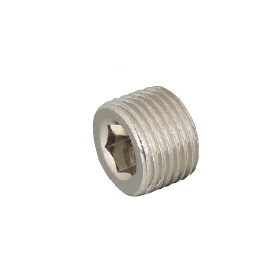  Заглушка с внутр. шестигранником TTY-DT10P